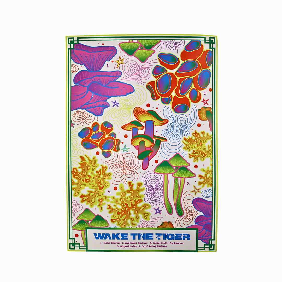 Mushroom Poster
