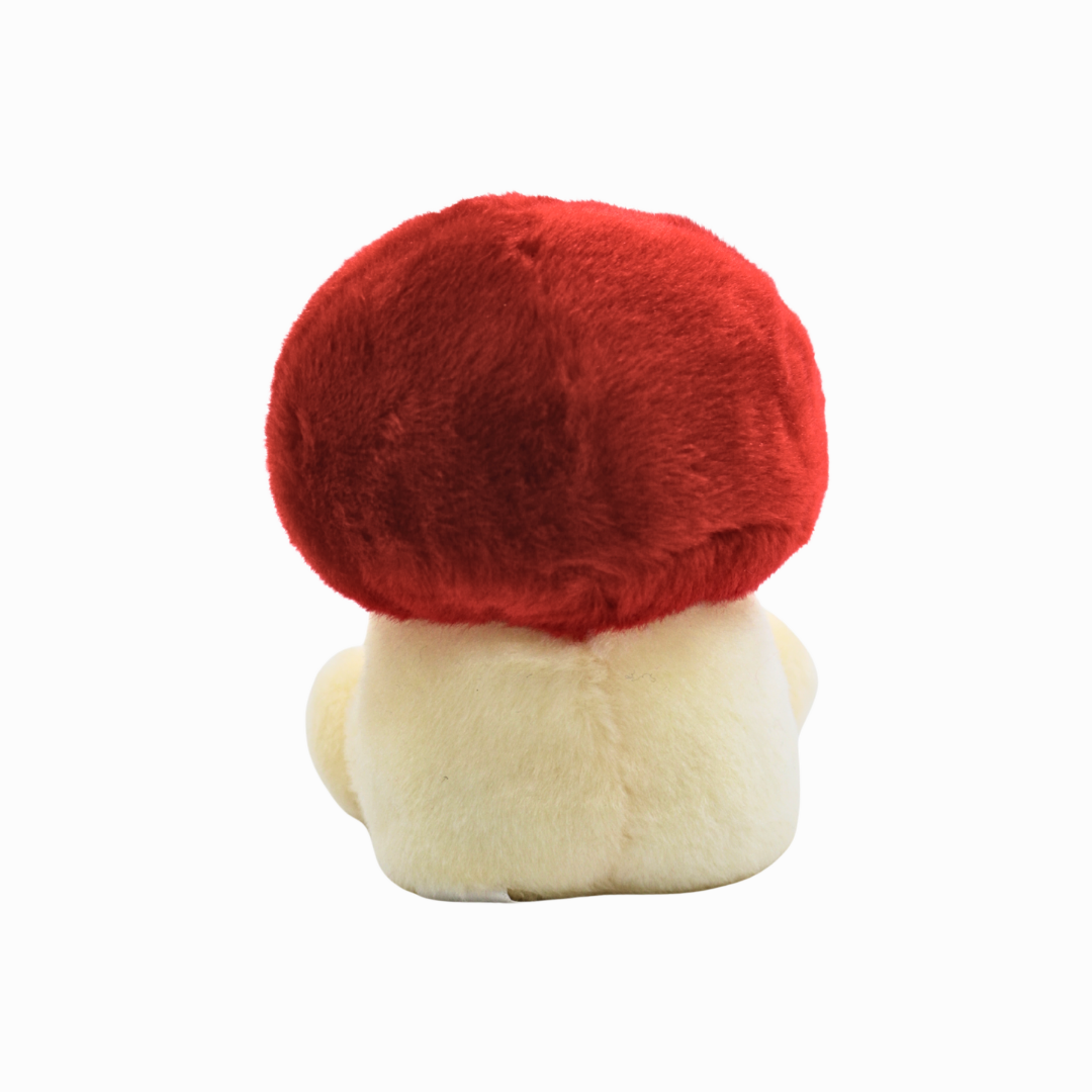 Amanita Mushroom