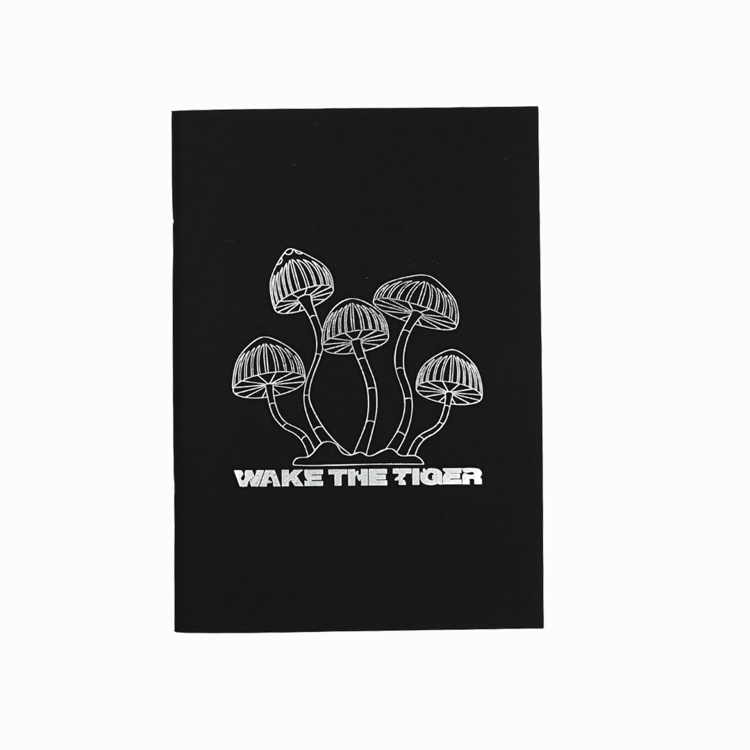 Wake the Tiger Sketch Book